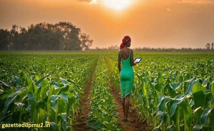 burkina faso turf magique