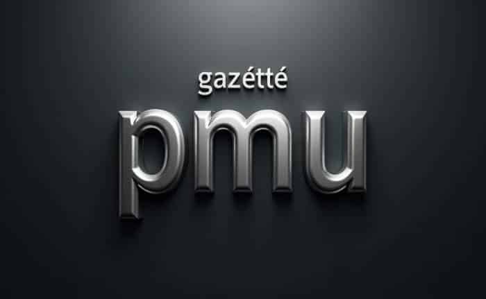 How to Check the Gazette PMU 2 Results Online—Step-by-Step Guide